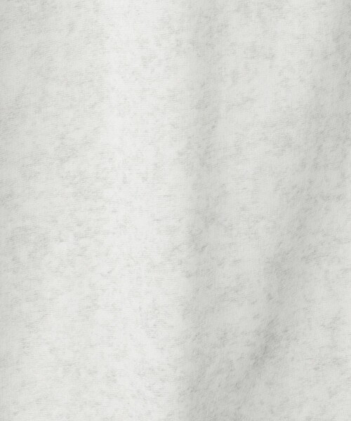 green label relaxing（グリーンレーベルリラクシング）の「スノーダイ クルーネック Tシャツ（Tシャツ/カットソー・メンズ・ライトブルー/ダークグレー/ライトグレー/ライム・M/S/L/XL）」の21枚目の写真