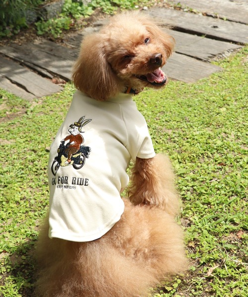 KRIFF MAYER（クリフメイヤー）の「もちのびT(バイク)（ペットウェア・レディース・ブラック/カーキ/ナチュラル/ブルー/ブラウン/カラフル・SMALL/MEDIUM/LARGE/X-LARGE）」の3枚目の写真