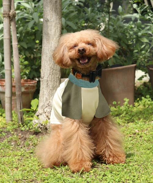 KRIFF MAYER（クリフメイヤー）の「もちのびT(バイク)（ペットウェア・レディース・ブラック/カーキ/ナチュラル/ブルー/ブラウン/カラフル・SMALL/MEDIUM/LARGE/X-LARGE）」の6枚目の写真