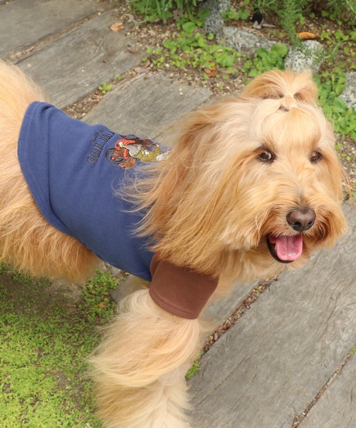 KRIFF MAYER（クリフメイヤー）の「もちのびT(バイク)（ペットウェア・レディース・ブラック/カーキ/ナチュラル/ブルー/ブラウン/カラフル・SMALL/MEDIUM/LARGE/X-LARGE）」の5枚目の写真