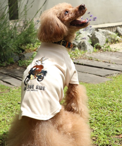 KRIFF MAYER（クリフメイヤー）の「もちのびT(バイク)（ペットウェア・レディース・ブラック/カーキ/ナチュラル/ブルー/ブラウン/カラフル・SMALL/MEDIUM/LARGE/X-LARGE）」の19枚目の写真