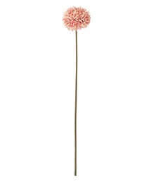 a.depeche(�A�f�y�V��)�́ya.depeche/�A�f�y�V���z�A�[�e�B�t�B�V�����t�����[ / ���� / colorer �e(14-06-PK)(�t�����[�x�[�X)