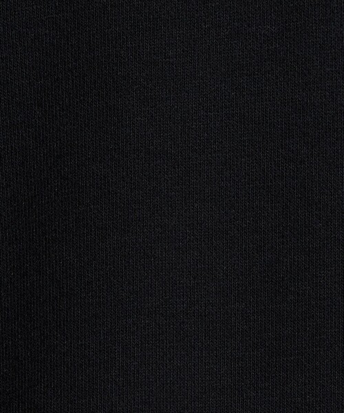 MARMOT（マーモット）の「【別注】＜Marmot＞GLR スタビリティ スウェット ベスト（ベスト・メンズ・ブラック/グレー系/パープル・L/M）」の21枚目の写真