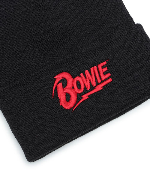 AMERICAN NEEDLE（アメリカンニードル）の「CUFFED KNIT BEANIE BOWIE（ニットキャップ/ビーニー・メンズ・その他・FREE）」の2枚目の写真