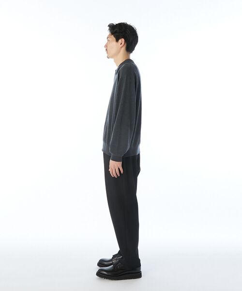 N.HOOLYWOOD COMPILE(N.ハリウッド コンパイル)の「KNIT POLO SHIRT(ニット/セーター・メンズ・ベージュ/ブラック/チャコール・36/38/40)」の17枚目の写真