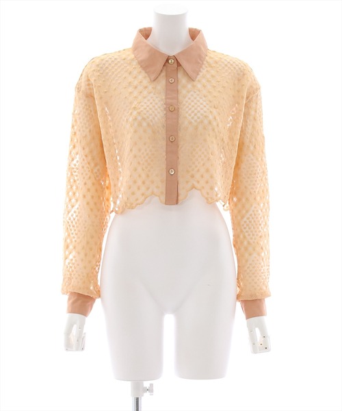 clear（クリア）の「長袖刺繍レースシアーシャツ[クロップド丈 骨格ウェーブ]（シャツ/ブラウス・レディース・ピンクベージュ/ベージュ/ブラック/オフホワイト・F）」の13枚目の写真