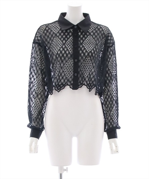 clear（クリア）の「長袖刺繍レースシアーシャツ[クロップド丈 骨格ウェーブ]（シャツ/ブラウス・レディース・ピンクベージュ/ベージュ/ブラック/オフホワイト・F）」の14枚目の写真