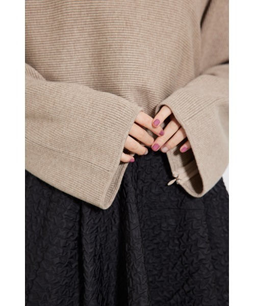 rienda(リエンダ)の「ジップスリーブショートニットトップス 2WAY(ニット/セーター・レディース・ベージュ/ブラック/アイボリー/グリーン/レッド・FREE)」の13枚目の写真