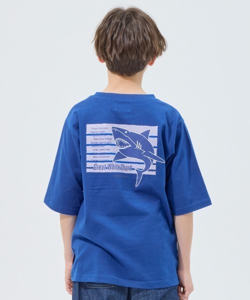 KRIFF MAYER Kid's Collection（クリフメイヤーキッズコレクション）の「【綿100％・5分袖】楽LUCK五分袖Tシャツ(サメ)（Tシャツ/カットソー・キッズ・ブルー/オフホワイト/ネイビー/ミント/チャコール・170/160/150/140/130/120）」の7枚目の写真