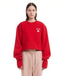 Red T Logo Sweatshirt