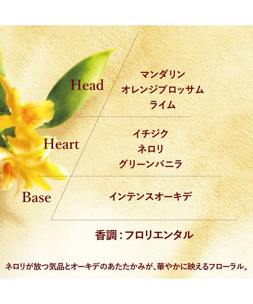 L'OCCITANE（ロクシタン）の「グレースオーキデ プレミアム