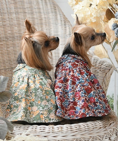 LAURA ASHLEY(ローラアシュレイ)の「LAURA ASHLEY/襟付きワンピース(ペットウェア・レディース・レッド/グリーン・M/2L/L/2M/XS/2XS/S)」の3枚目の写真