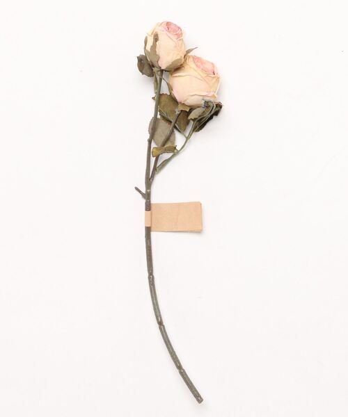 a.depeche(アデペシュ)の「アーティフィシャルフラワー / 造花 / colorer ローズ(15-02-IV)(フラワーベース・レディース・アイボリー・FREE)」の6枚目の写真