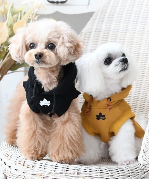 LOGOS(ロゴス)の「LOGOS/もちのびボックスロゴパーカー(ペットウェア・メンズ・イエロー/ブラック・XS/S/M/L/2L/3L)」の4枚目の写真