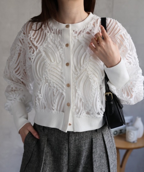 sakishimatokyo（サキシマトーキョー）の「新色追加　透かしレース/エンブロイダリーレース カーディガン（カーディガン/ボレロ・レディース・ブラック/オフホワイト/ベージュ/グレー・FREE）」の20枚目の写真