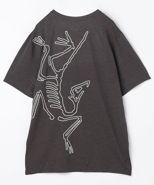 ARC'TERYX/アークテリクス Cormac Arc Bird Logo SS M（Tシャツ