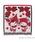 ANNA SUI�i�A�i�X�C�j�́u�y�}�C�����f�B�E�N���~×ANNA SUI�z�t�����t���唻�^�I���n���J�`�i�n���J�`/�n���h�^�I���j�v�b���b�h