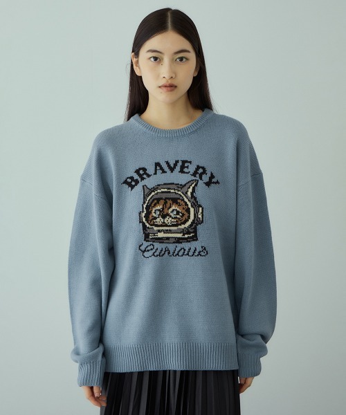 VICKY(ビッキー)の「アニマルジャカードニットプルオーバー≪手洗い可能≫(ニット/セーター・レディース・ブラック/ライトブルー/レッド・M)」の2枚目の写真