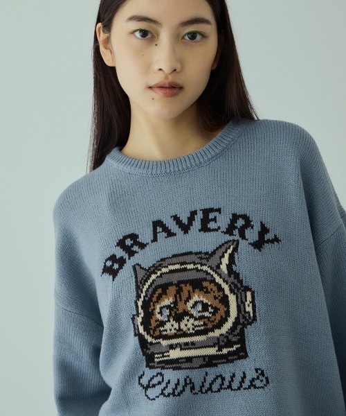 VICKY(ビッキー)の「アニマルジャカードニットプルオーバー≪手洗い可能≫(ニット/セーター・レディース・ブラック/ライトブルー/レッド・M)」の12枚目の写真