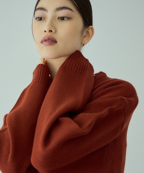 VICKY(ビッキー)の「アニマルジャカードニットプルオーバー≪手洗い可能≫(ニット/セーター・レディース・ブラック/ライトブルー/レッド・M)」の21枚目の写真