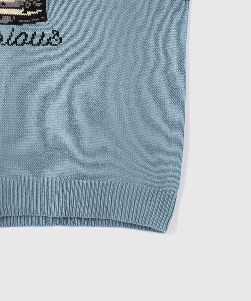 VICKY(ビッキー)の「アニマルジャカードニットプルオーバー≪手洗い可能≫(ニット/セーター・レディース・ブラック/ライトブルー/レッド・M)」の8枚目の写真