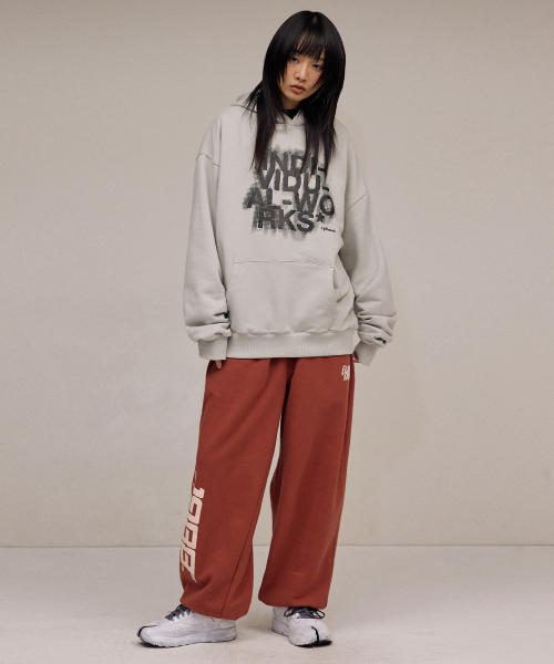 F.ILLUMINATE（フィルミネイト）の「ブラーエフェクトロゴフードパーカー-ライトグレー（パーカー・レディース・その他・SMALL/MEDIUM/LARGE）」の3枚目の写真