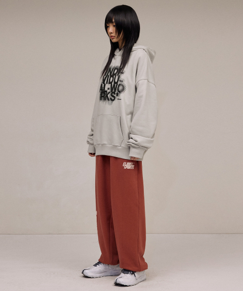 F.ILLUMINATE（フィルミネイト）の「ブラーエフェクトロゴフードパーカー-ライトグレー（パーカー・レディース・その他・SMALL/MEDIUM/LARGE）」の5枚目の写真