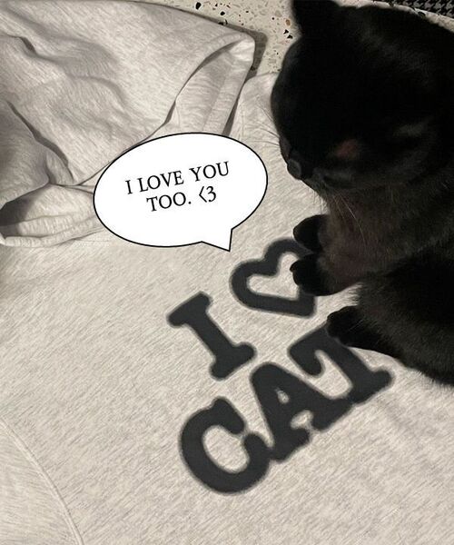 ITZAVIBE(イッザバイブ)の「I LOVE CATS HOODIE(パーカー・レディース・その他・MEDIUM/LARGE)」の5枚目の写真