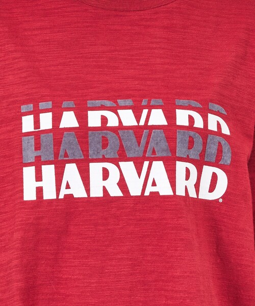 Russell Athletic(ラッセルアスレティック)の「【RUSSELL ATHLETIC / ラッセル アスレティック】University /Harvard/YALE/カレッジロゴ・ユニセックス(Tシャツ/カットソー・メンズ・エンジ/ネイビー/ホワイト系その他/ホワイト系その他2・M/L)」の8枚目の写真