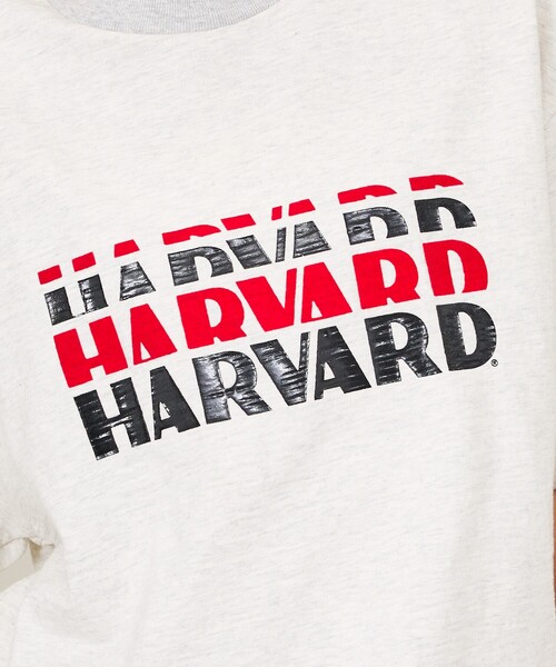 Russell Athletic(ラッセルアスレティック)の「【RUSSELL ATHLETIC / ラッセル アスレティック】University /Harvard/YALE/カレッジロゴ・ユニセックス(Tシャツ/カットソー・メンズ・エンジ/ネイビー/ホワイト系その他/ホワイト系その他2・M/L)」の13枚目の写真