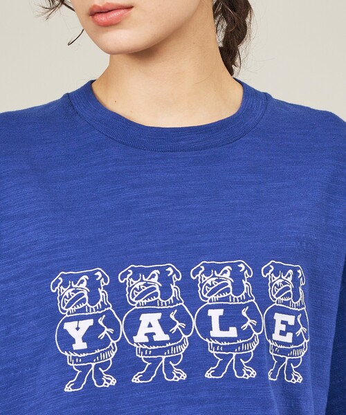 Russell Athletic(ラッセルアスレティック)の「【RUSSELL ATHLETIC / ラッセル アスレティック】University /Harvard/YALE/カレッジロゴ・ユニセックス(Tシャツ/カットソー・メンズ・エンジ/ネイビー/ホワイト系その他/ホワイト系その他2・M/L)」の20枚目の写真