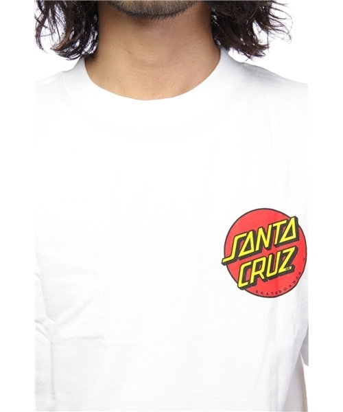 BEAMS（ビームス）の「SANTA CRUZ / KENDALL SNAKE TEE（Tシャツ