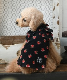 ANNA SUI(AiXC)ANNA SUI/P[vxAs[X(ybgEFA)