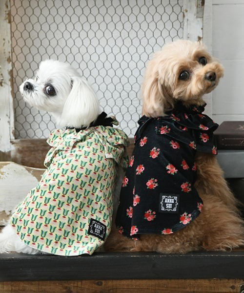 ANNA SUI(アナスイ)の「ANNA SUI/ケープ風ベロアワンピース(ペットウェア・レディース・ブラック/イエロー・S/M/L/2M/XS/2L/2XS)」の13枚目の写真