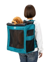 MANDARINE BROTHERS(}_uU[Y)̃uNXgL[obNpbN/15kg܂/^^(ybgpL[P[X)