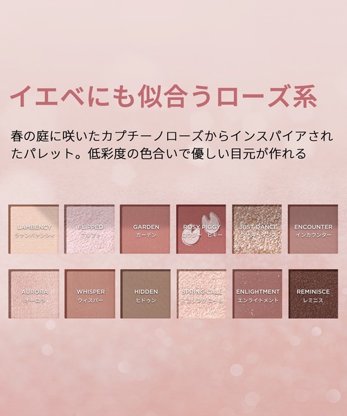 【総額約¥38,000】アイシャドウ12点セット セール】エクスプローラ 12色動物アイシャドウパレット（アイ