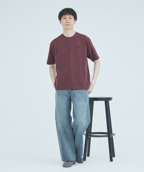 別注・完売必至 国内発 LACOSTE ピグメント ダイ ピケ Tシャツ JOURNAL STANDARD｜LACOSTE / ラコステ 別注 ピグメント ダイ