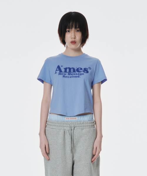 AMESWORLDWIDE（アメスワールドワイド）の「ROUND HEM CROP TEE BLUE（Tシャツ/カットソー・レディース・その他・FREE）」の3枚目の写真