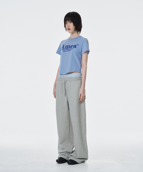 AMESWORLDWIDE（アメスワールドワイド）の「ROUND HEM CROP TEE BLUE（Tシャツ/カットソー・レディース・その他・FREE）」の4枚目の写真