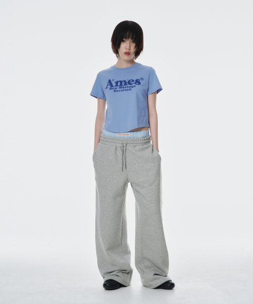 AMESWORLDWIDE（アメスワールドワイド）の「ROUND HEM CROP TEE BLUE（Tシャツ/カットソー・レディース・その他・FREE）」の5枚目の写真