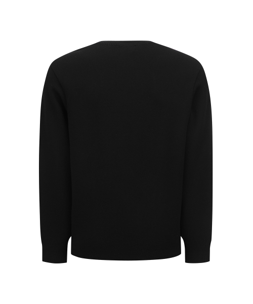 ANEW GOLF（アニューゴルフ）の「MEN SP CAMO PATTERN SWEATER_BK（ニット/セーター・メンズ・その他・XX-LARGE/MEDIUM/LARGE/X-LARGE）」の2枚目の写真