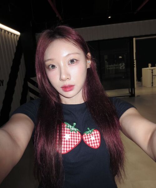 SLEEKGLOW（スリック グロウ）の「チェックストロベリーアップリケTシャツ[ネイビー]（Tシャツ/カットソー・レディース・その他・FREE）」の11枚目の写真