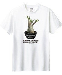 Moftique（モフティック）の「Moftique（モフティック） 半袖Tシャツ パキポディウム グラキリス コーデックス 塊根植物 多肉植物 プリント Tシャツ 半袖 トップス カットソー レディース 夏（Tシャツ/カットソー）」
