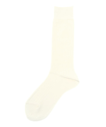 Ray BEAMS | ★Ray BEAMS / ウール混 リブソックス(ソックス/靴下)