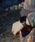 LAKOLEiRj́uAppleWatchxg[[v] / 990197ifW^rvjvb`R[