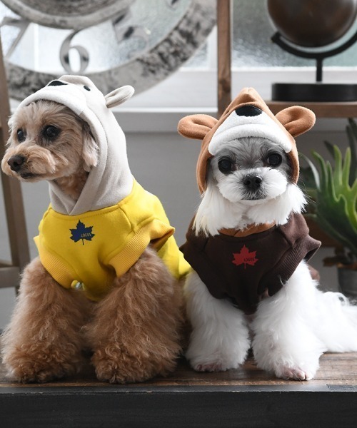 LOGOS（ロゴス）の「LOGOS/なりきりクマパーカー（ペットウェア・メンズ・ブラウン/イエロー・XS/S/M/L/2L/3L）」の4枚目の写真