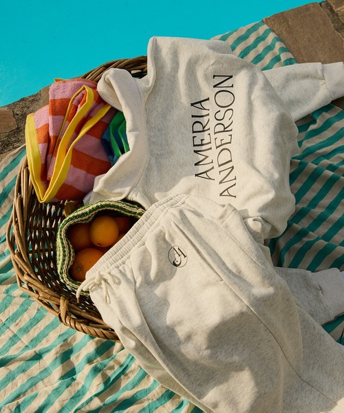 AMERIA ANDERSON】half zip back logo print sweatshirt / ハーフ