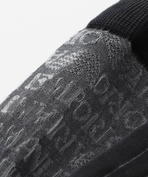 EMPORIO ARMANI(エンポリオアルマーニ)の「EMPORIO ARMANI レディース フロントロゴ シアーソックス 03440110(ソックス/靴下・レディース・ホワイト/ライトグレー/コバルトブルー/ブラック・23-25cm)」の7枚目の写真