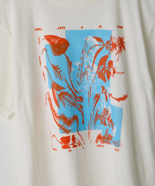 WHIMSIC（ウィムジック）の「【WHIMSIC/2サイズ展開】シルクスクリーンプリントT（Tシャツ/カットソー・レディース・ブラウン/ブルー/ホワイト/チャコールグレー・1/2）」の14枚目の写真