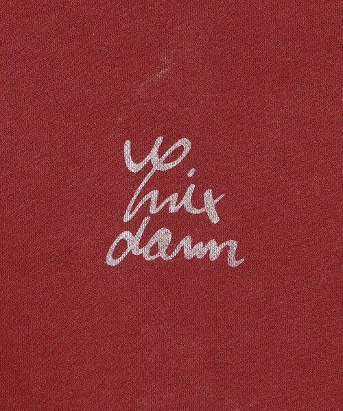 International Gallery BEAMS（インターナショナルギャラリービームス）の「クラッシュ ジップアップ フーディ（スウェット・メンズ・レッド系その他7・SMALL）」の4枚目の写真